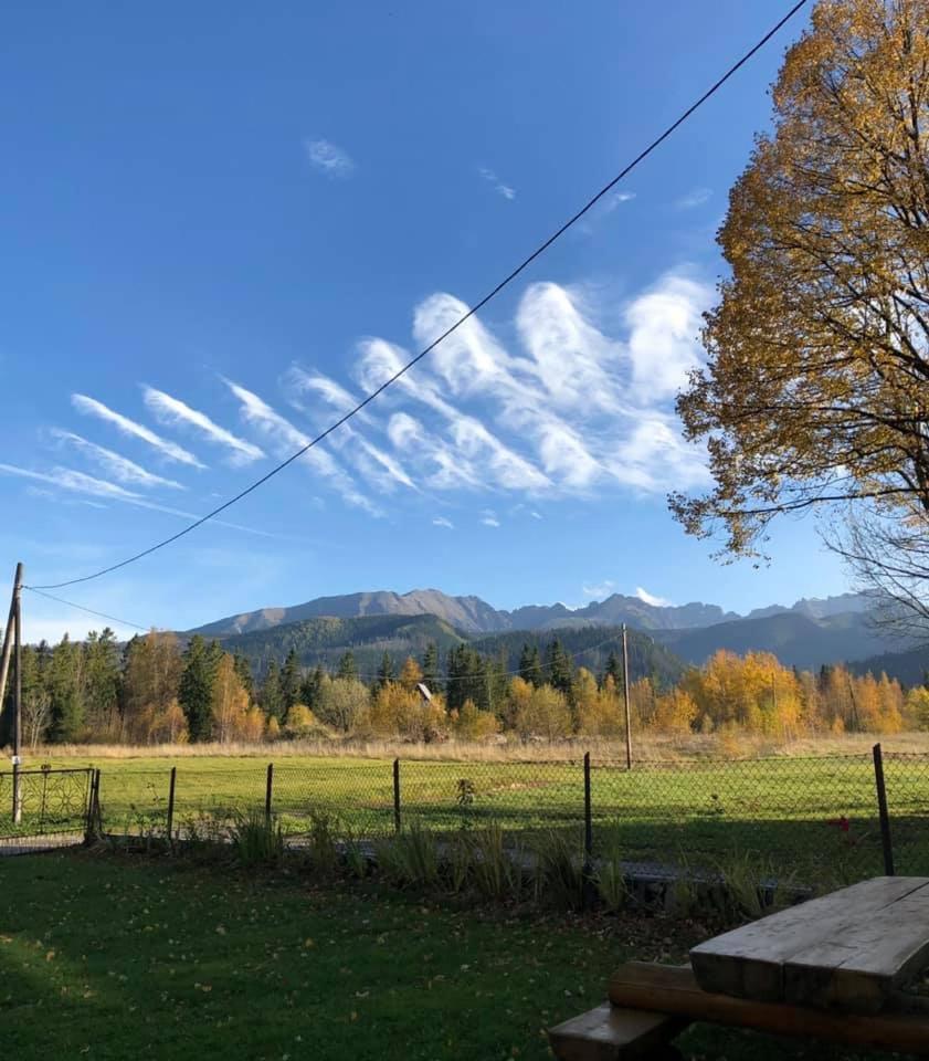 Pensjonat U Doroty, Zakopane - Twoje Miejsce W Gorach Esterno foto