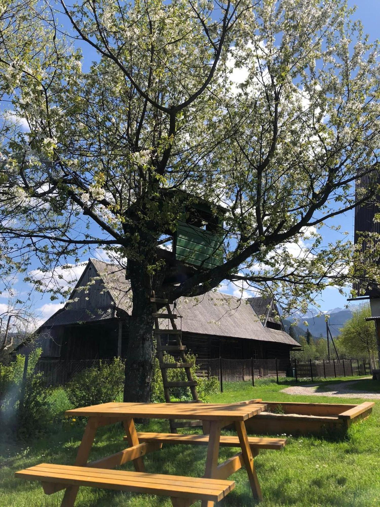 Pensjonat U Doroty, Zakopane - Twoje Miejsce W Gorach Esterno foto